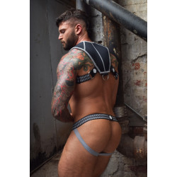 Breedwell Harnais Intimidator Breedwell Noir-Gris
